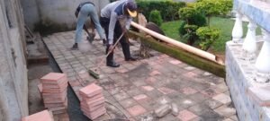 img 20251114 170213 615