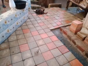 img 20251117 181938 603